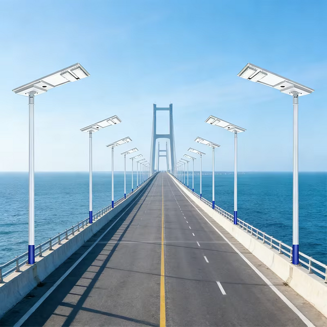 Panel monocristalino de alta eficiencia de farola solar para carga r&aacute;pida en &aacute;reas soleadas y con sombra parcial
